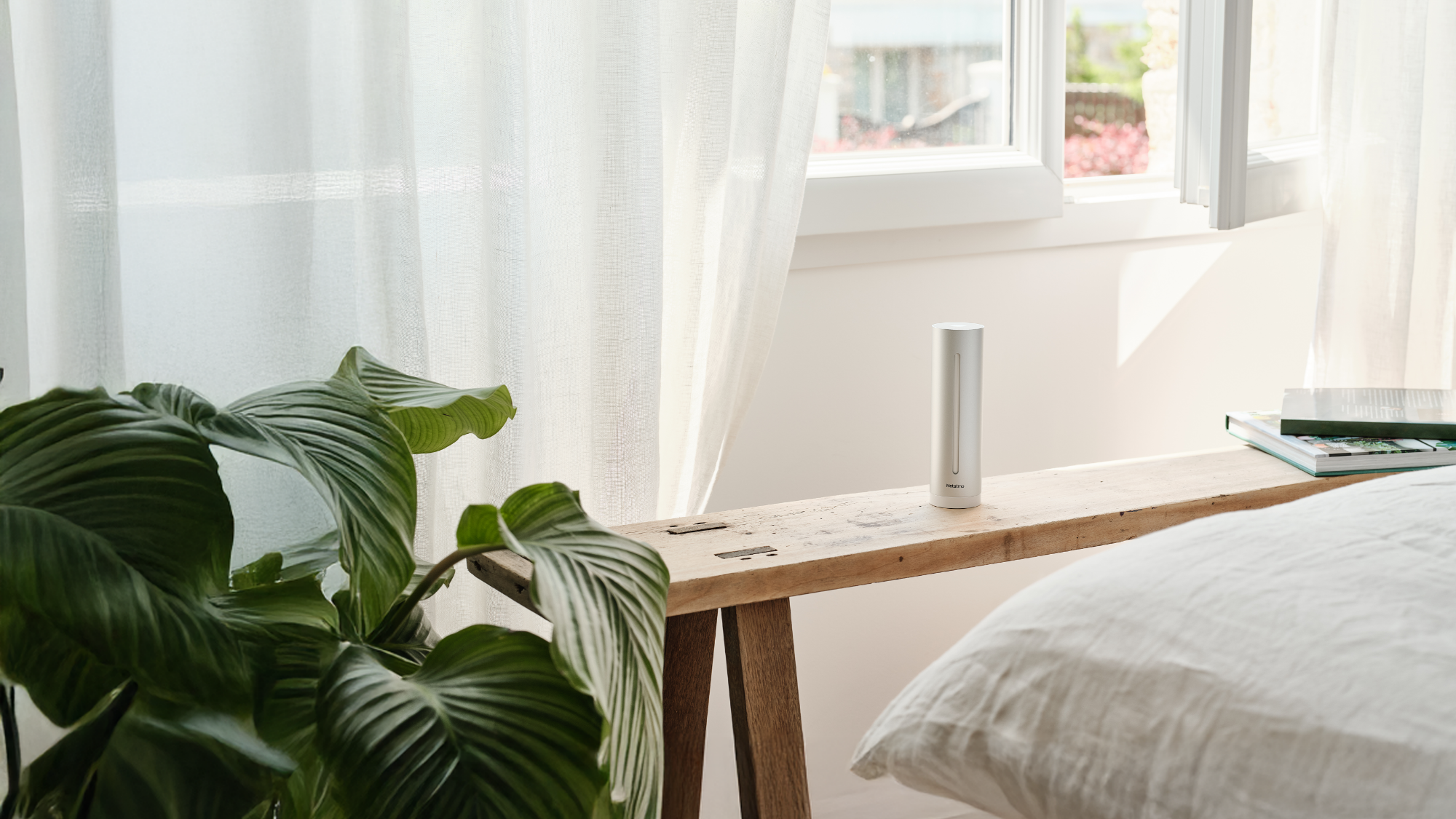 Improve the air quality of your indoors.