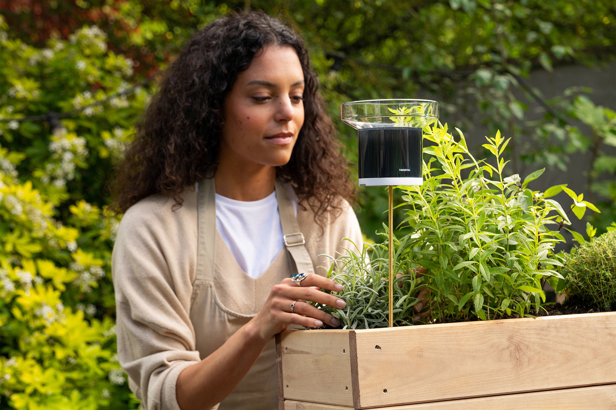 Pair the Rain Gauge with the Weather Station.