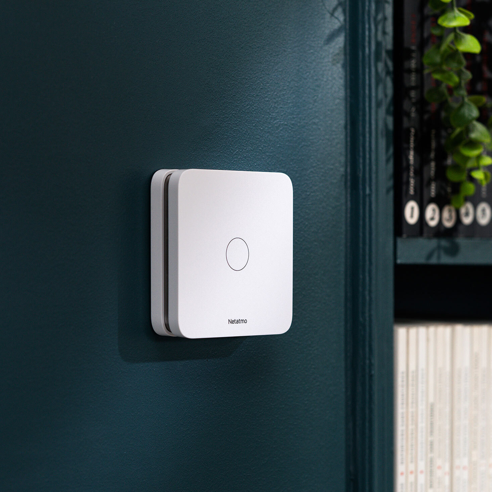 Enjoy 10 years of peace of mind.