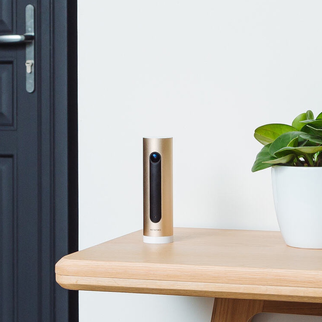 Keep an eye on your home at all times.